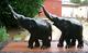 Large8.6kg Pair Of Ceylon Ebony Hand Carved Wooden Elephants-trunks Up