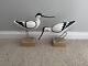 Wooden Artisan Hand Carved & Painted Pair Of Avocet Birds On Stands