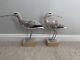 Wooden Artisan Hand Carved & Painted Pair Of Curlew Birds On Stands