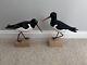 Wooden Artisan Hand Carved & Painted Pair Of Oyster Catcher Birds On Stands
