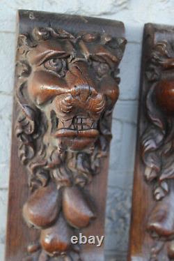 Cabinet de pièces sculptées en bois de têtes de lions en paire