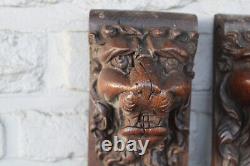 Cabinet de pièces sculptées en bois de têtes de lions en paire