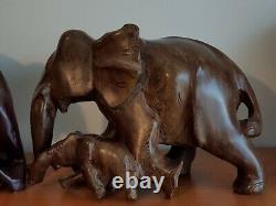 Délicieuse paire assortie d'éléphants en bois de noyer sculptés à la main avec leurs bébés
