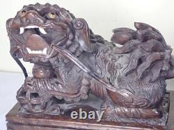 Paire d'antiques figurines de Chiens de Fô en bois dur sculpté chinois du XIXe siècle de la dynastie Qing.