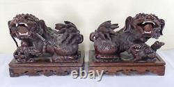 Paire d'antiques figurines de Chiens de Fô en bois dur sculpté chinois du XIXe siècle de la dynastie Qing.