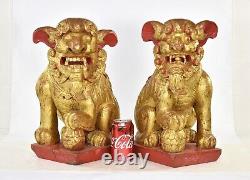 Paire de grandes statues sculptées en bois doré rouge chinois antiques de Fu Foo Dog Lion