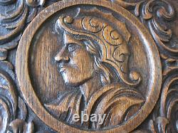 Paire fantastique de panneaux sculptés en bois antique de style gothique français