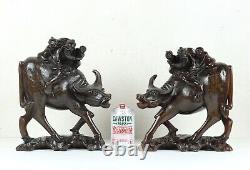 Superbe paire d'antiques buffles d'eau chinois sculptés en bois dur et incrustés d'argent